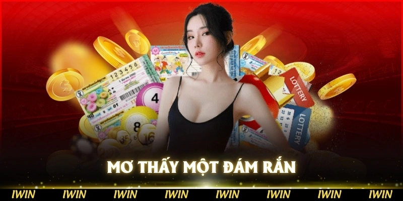 Mơ thấy một đám rắn