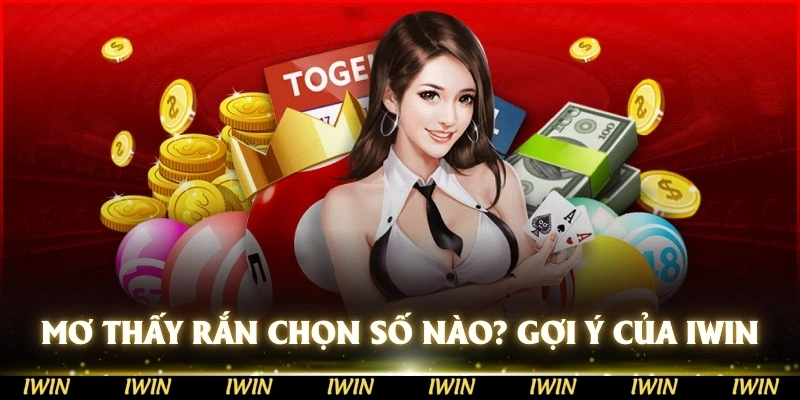 Mơ thấy rắn thì anh em nên chọn số nào? Gợi ý từ IWIN
